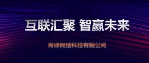 “互聯(lián)聚匯，智贏未來” 2019焦作青峰全網(wǎng)合作峰會***成功！