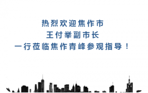熱烈歡迎焦作市王付舉副市長一行蒞臨焦作青峰參觀指導(dǎo)！